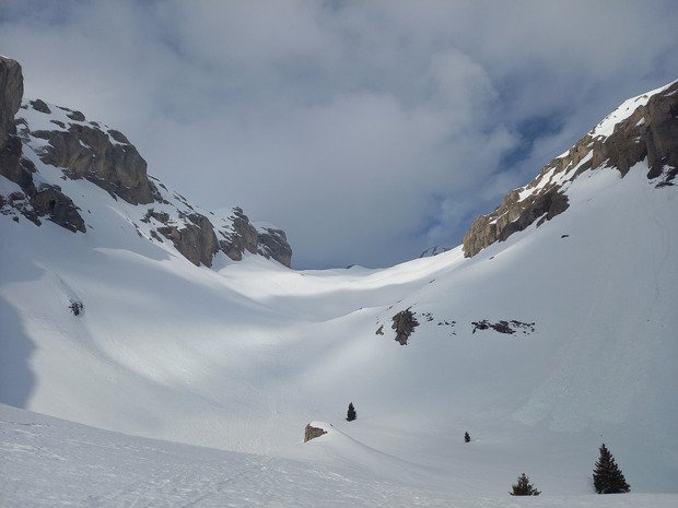 Nid de Doudoux et tete de Lapras
