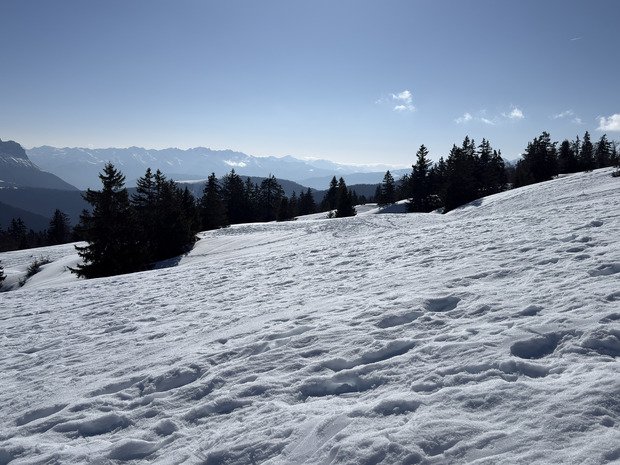 Le printemps c&rsquo;est maintenant!