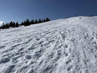 Le printemps c&rsquo;est maintenant!