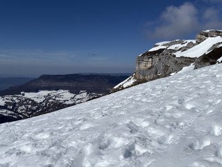 Le printemps c&rsquo;est maintenant!