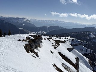 Le printemps c&rsquo;est maintenant!
