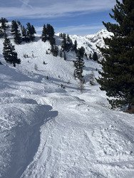 Entre carving et piste freeride nature