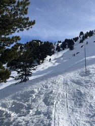 Entre carving et piste freeride nature