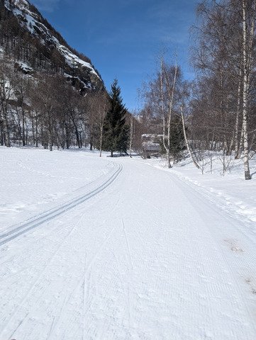 Journ&eacute;e famille en ski de fond