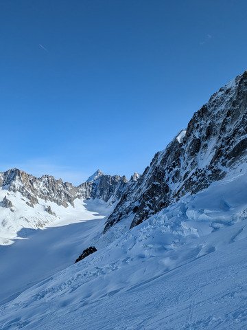 Journ&eacute;e bleu oiseau 
