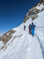 Journ&eacute;e bleu oiseau 