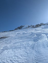 Journ&eacute;e bleu oiseau 