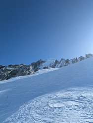 Journ&eacute;e bleu oiseau 