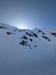 Journ&eacute;e bleu oiseau 