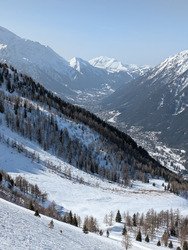 Journ&eacute;e bleu oiseau 