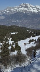 Soupe du midi ✝️🍜