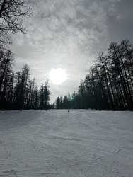 Entre le sable et la poudre