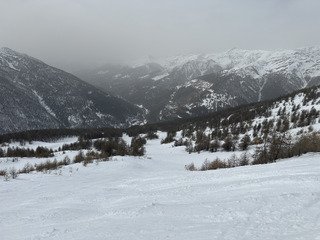 Entre le sable et la poudre