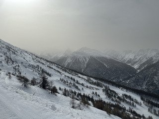 Entre le sable et la poudre