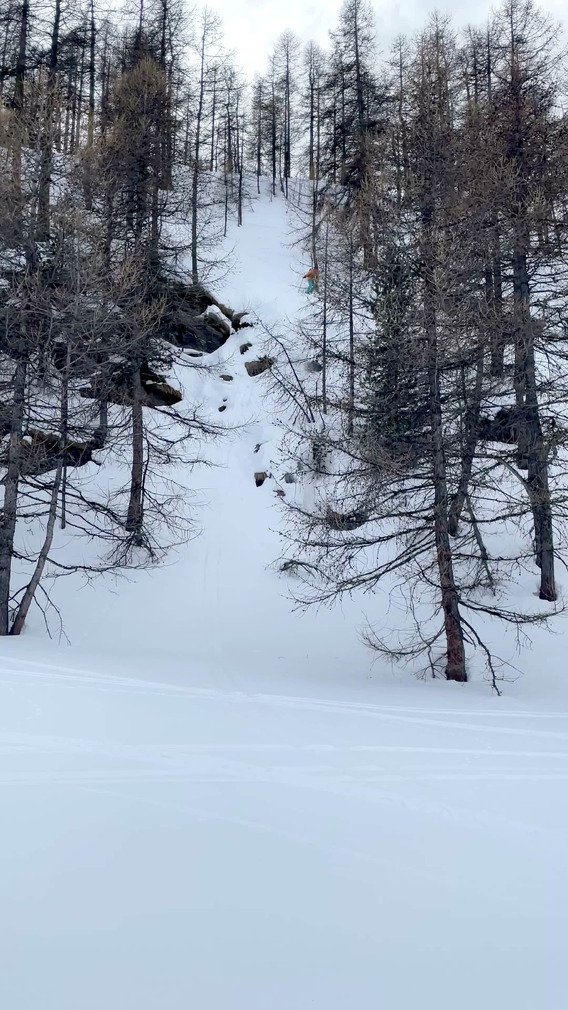 Entre le sable et la poudre