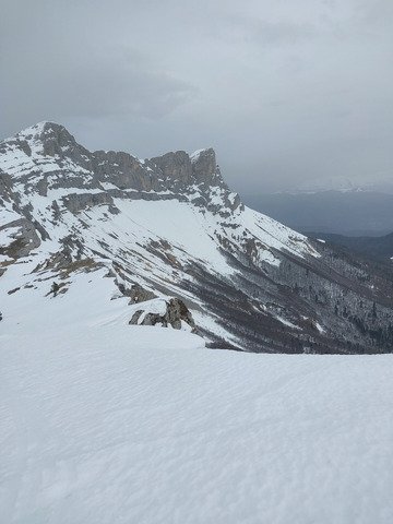 C est cool le printemps