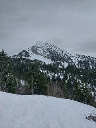 C est cool le printemps