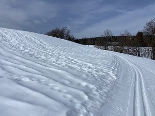 Neige pas mal en fond et variable en alpin