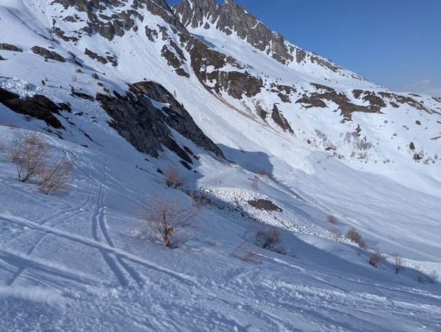 &Ccedil;a sent le printemps 