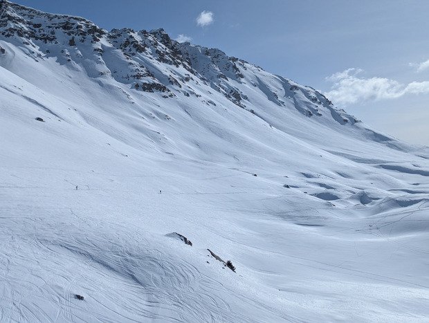 &Ccedil;a sent le printemps 