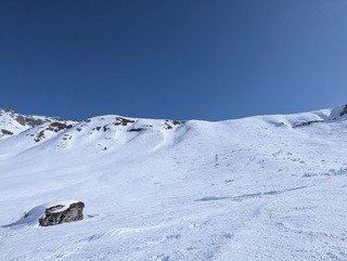 &Ccedil;a sent le printemps 