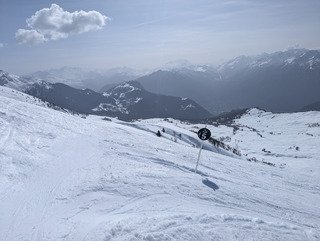 &Ccedil;a sent le printemps 