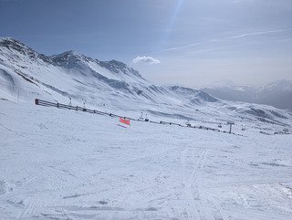 &Ccedil;a sent le printemps 