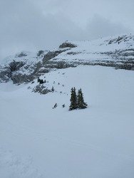 Encore une bonne journee