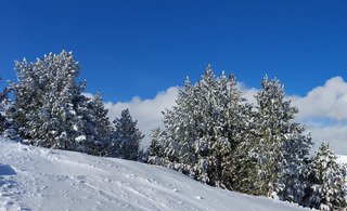 Ambiance Printemps 😎👍