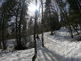 Superbe journ&eacute;e printani&egrave;re sous un soleil saharien.