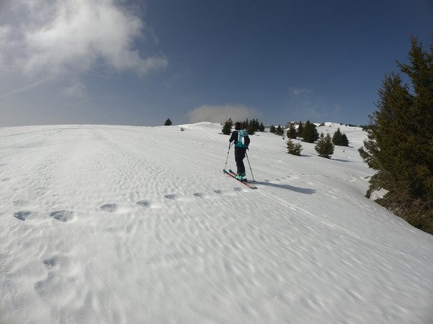 Superbe journ&eacute;e printani&egrave;re sous un soleil saharien.