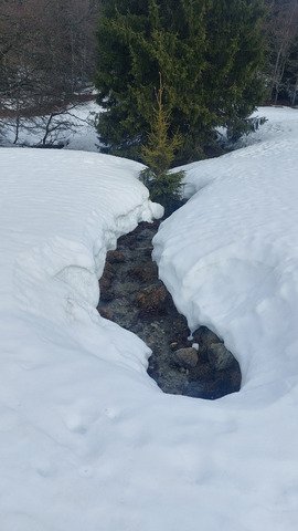 Le printemps est arriv&eacute; 