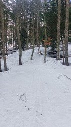 Le printemps est arriv&eacute; 