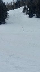 Le printemps est arriv&eacute; 