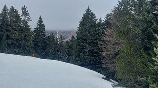 Le printemps est arriv&eacute; 