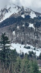 Le printemps est arriv&eacute; 