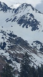 Le printemps est arriv&eacute; 