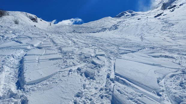Poudreuse fa&ccedil;on b&eacute;arnaise 😍