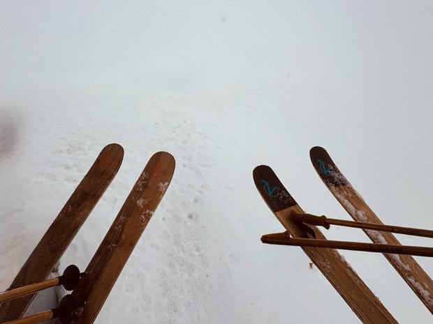 Grosse teuf pour les 20 ans de NPY 🎂 