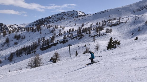 Malabar bi go&ucirc;t 