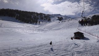 Malabar bi go&ucirc;t 