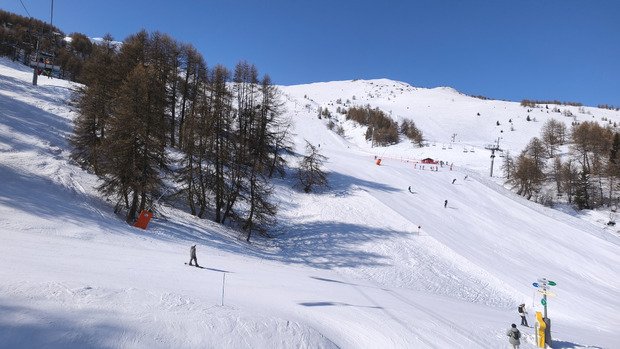 Malabar bi go&ucirc;t 