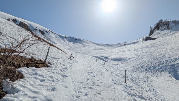 Un Sulens trop t&ocirc;t 