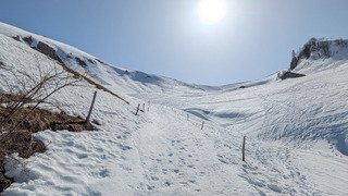 Un Sulens trop t&ocirc;t 