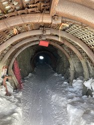 Mon gendre prend le tunnel 🦇