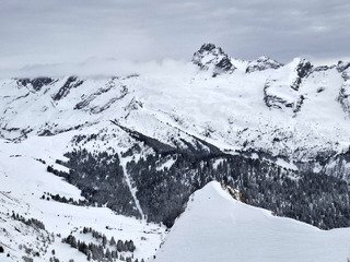 Neige fra&icirc;che et bonne humeur