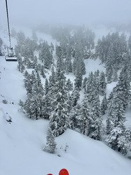 Matin&eacute;e au top