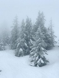 Matin&eacute;e au top