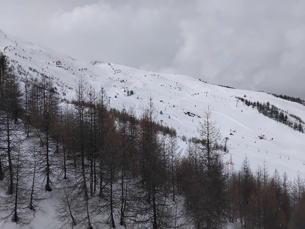 Petite poudre et temps changeant