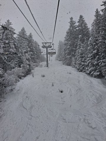 L'hiver n'a pas dit son dernier mot ❄️